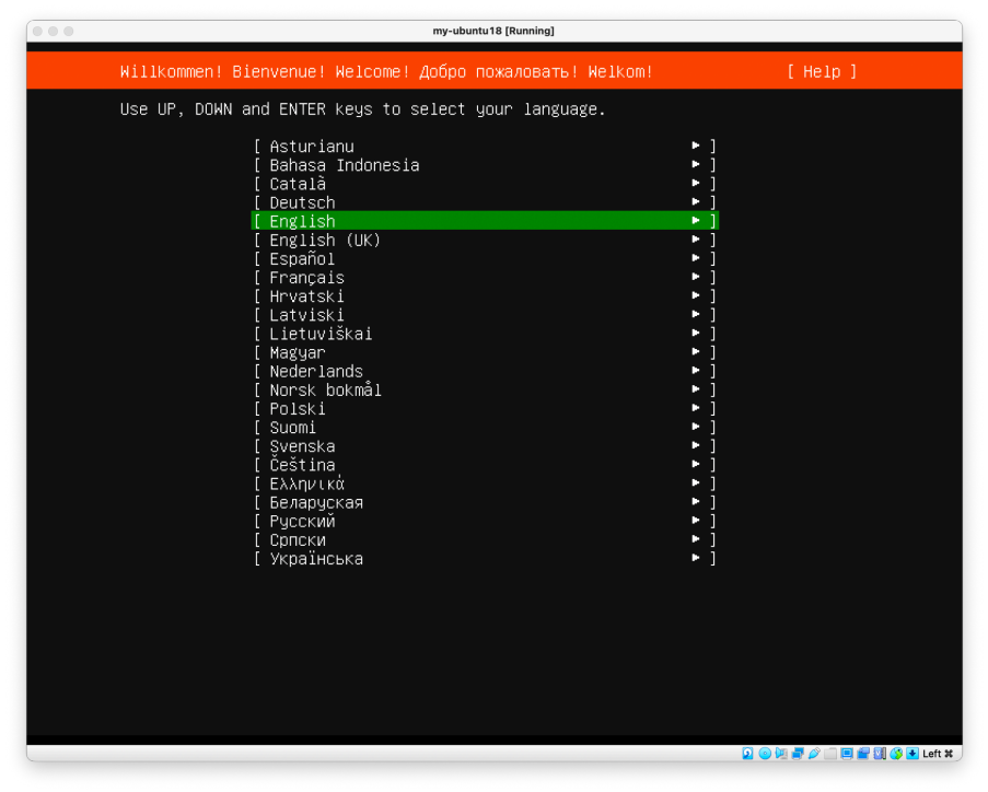 Visual showing You should see the welcome screen for Ubuntu like this, press Enter to continue: