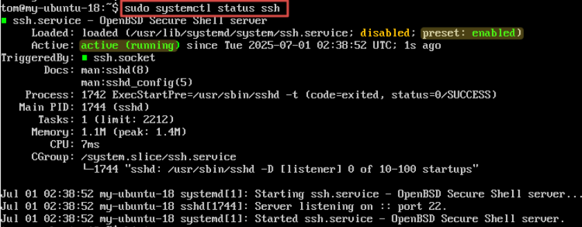 Visual showing sudo systemctl status ssh