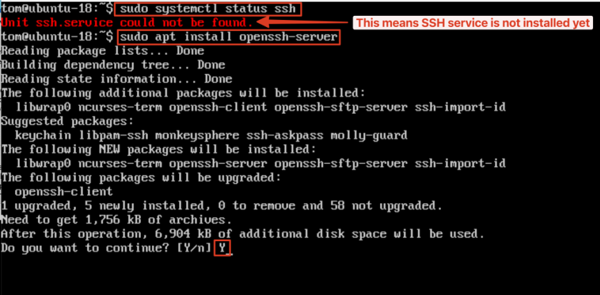 Visual showing sudo apt install openssh-server