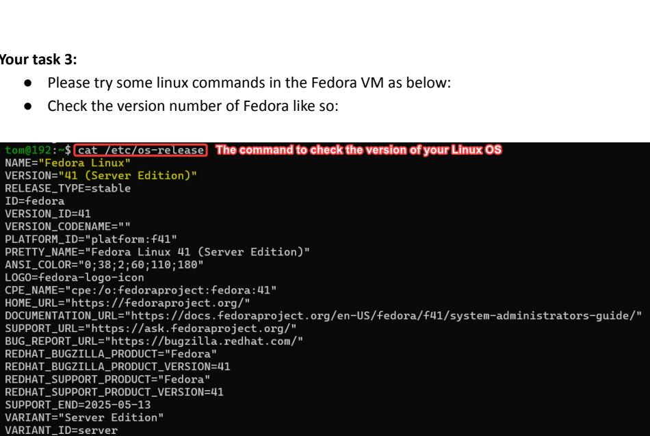 Visual showing Make sure you can SSH from your terminal to the Fedora VM: