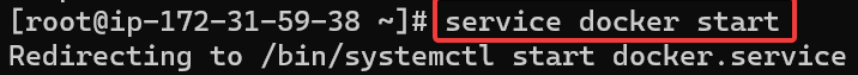 Screenshot illustrating service docker start