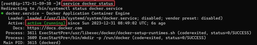 Screenshot illustrating service docker status