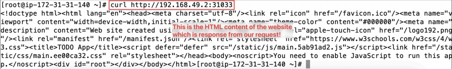 Screenshot illustrating curl <the-website-url>