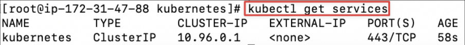 Screenshot illustrating kubectl get services