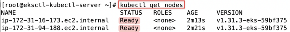 Screenshot illustrating kubectl get nodes