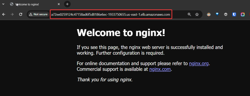 Screenshot illustrating Let’s open the browser and enter that DNS name / IP address: