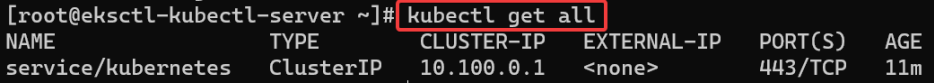Screenshot illustrating kubectl get all