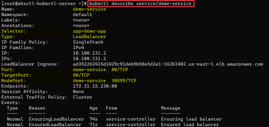 Screenshot illustrating kubectl describe service/demo-service