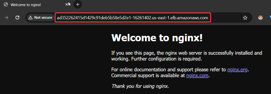 Screenshot illustrating Let’s open the browser and enter that DNS name / IP address: