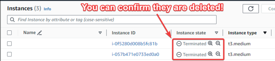Screenshot illustrating the associated EC2 worker nodes.