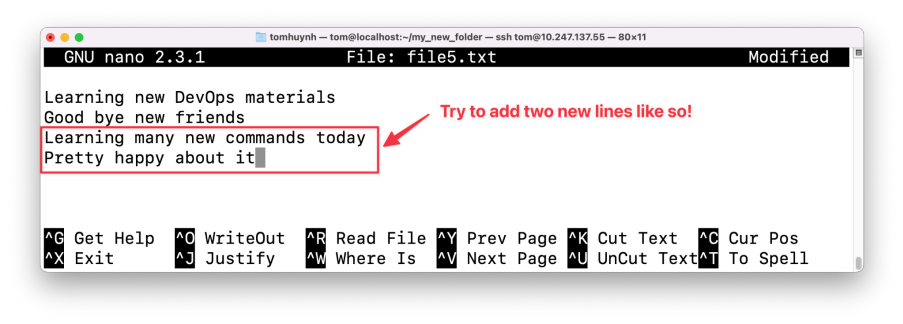 Visual showing Add two new lines in the “file5.txt”: