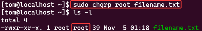 Visual showing sudo chgrp root filename.txt