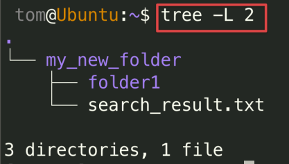Visual showing tree -L 2