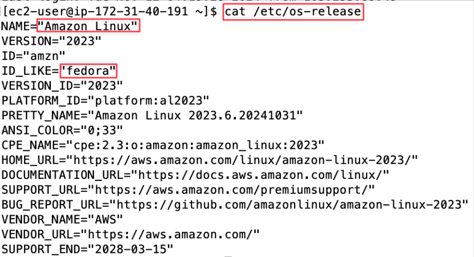 Screenshot illustrating You can play around with CLI commands you learn so far, for example: