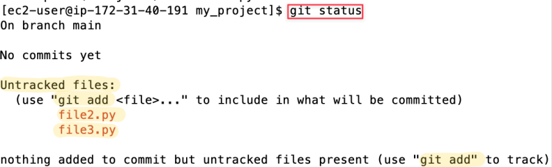 Screenshot illustrating Question: Can you figure out what it means by “untracked files”?