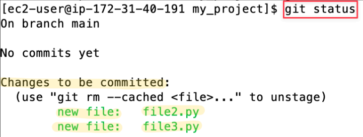 Screenshot illustrating Question: Do you still see “untracked files”? Why or Why not?