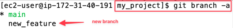 Screenshot illustrating Question : Can you see how many branches you have and what is your current branch ?