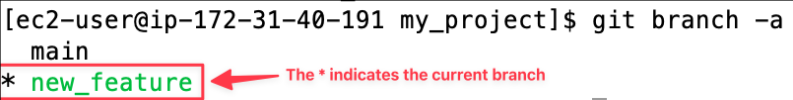 Screenshot illustrating Question : Do you see your current branch has changed to the new branch “new_feature” ?