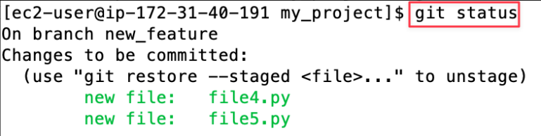 Screenshot illustrating git status