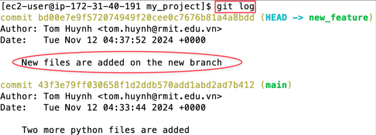 Screenshot illustrating git log