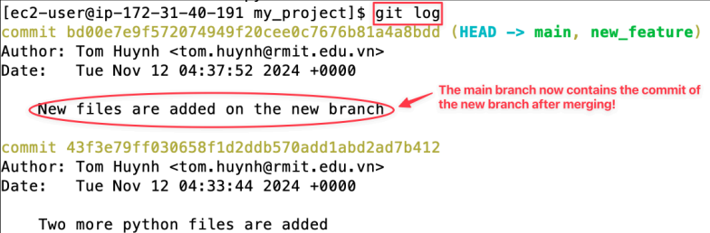 Screenshot illustrating git log