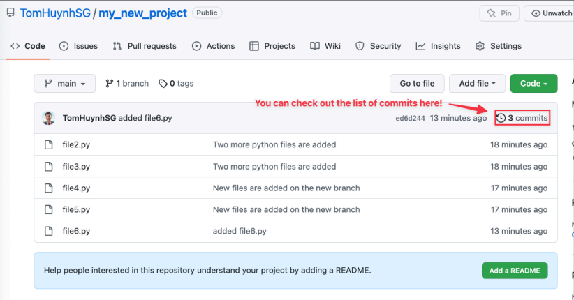 Screenshot illustrating the remote repository on Github: