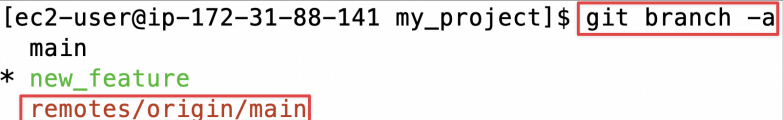 Screenshot illustrating Question : Do you notice anything different in your branches ? What is the "remotes/origin/main" branch?