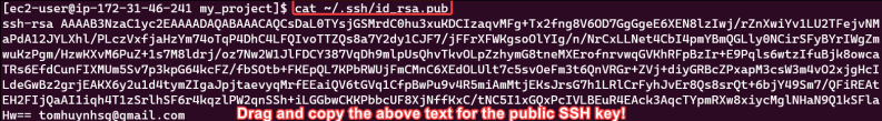 Screenshot illustrating cat ~/.ssh/id_rsa.pub