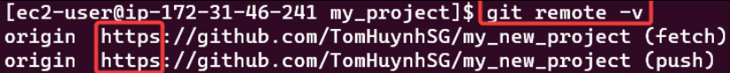 Screenshot illustrating git remote -v
