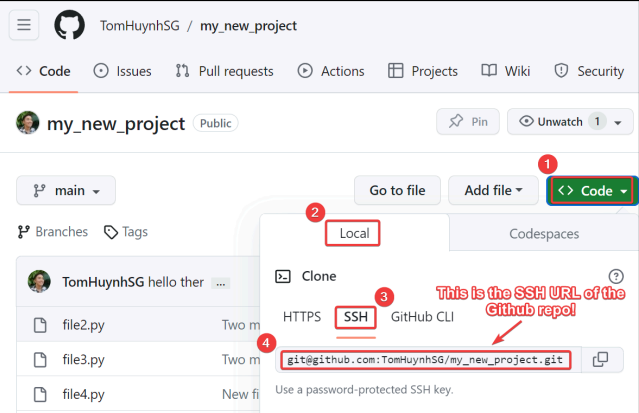 Screenshot illustrating looks like git@github.com:username/repository.git, which you can find here!