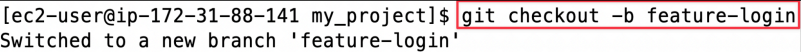 Screenshot illustrating git checkout -b feature-login