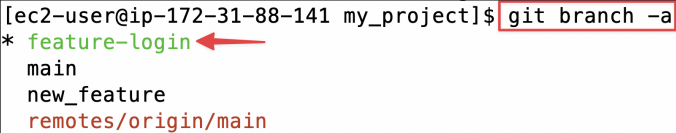 Screenshot illustrating git branch -a