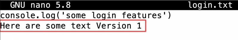 Screenshot illustrating nano login.txt