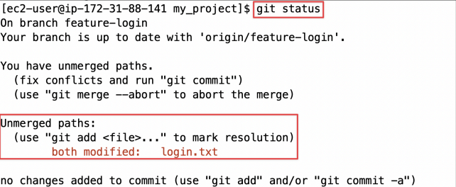 Screenshot illustrating git status