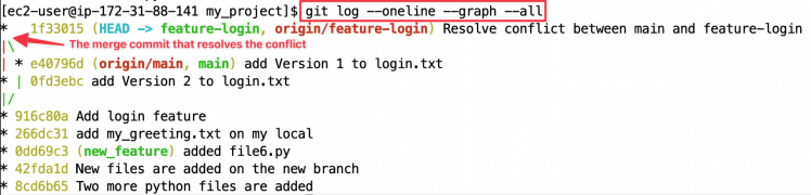 Screenshot illustrating git log --oneline --graph --all