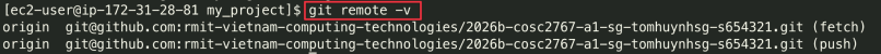 Screenshot illustrating git remote -v