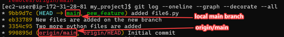 Screenshot illustrating because the local repository and the GitHub repository were initialized independently.