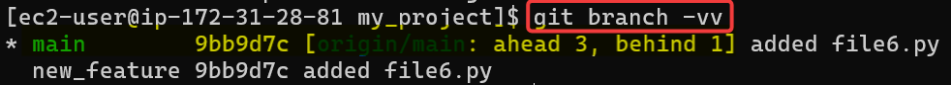 Screenshot illustrating The output should show that your local main branch is tracking origin/main .