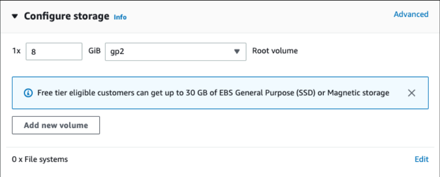 Screenshot illustrating The default 8 GB for storage is plenty enough for our server: