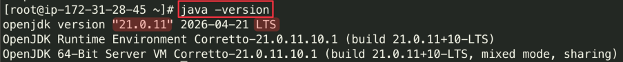 Screenshot illustrating java -version