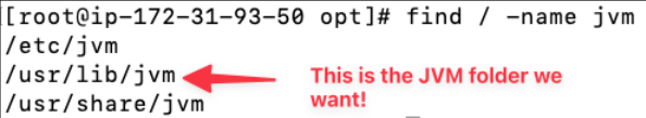 Screenshot illustrating find / -name jvm