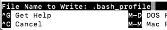 Screenshot illustrating You need to press Crt+X then Enter to confirm the same file name!