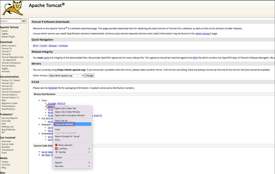 Screenshot illustrating distribution for easy installation instructions: https://tomcat.apache.org/download-90.cgi