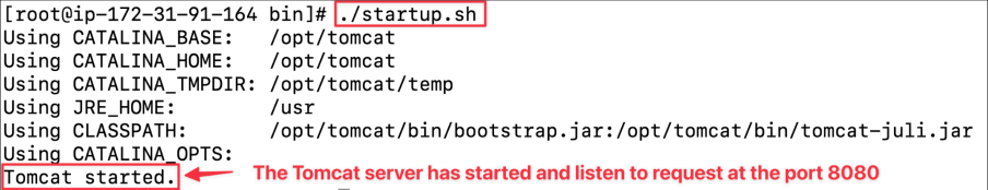 Screenshot illustrating ./startup.sh