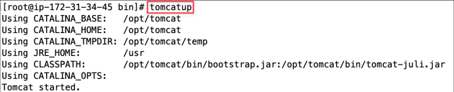 Screenshot illustrating tomcatup