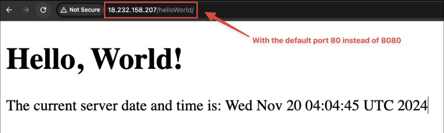 Screenshot illustrating application without specifying a port number.