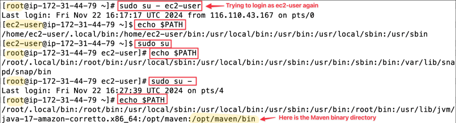 Screenshot illustrating Identify differences, particularly in the PATH variable.