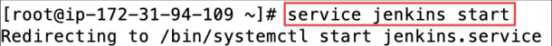 Screenshot illustrating And you should see the message it is starting like so: