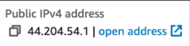 Screenshot illustrating the port number 8080 :