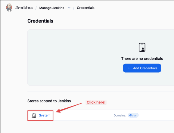Screenshot illustrating Choose “System” in the credentials context: